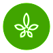 medlefe-icon